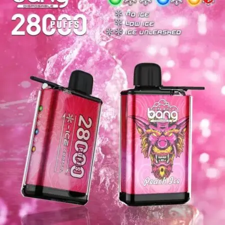 Bang King 28K rechargeable 28000 puffs vape BOX