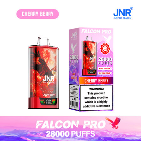 Puff JNR 28k Rechargeable Disposable Vape with Smart Screen
